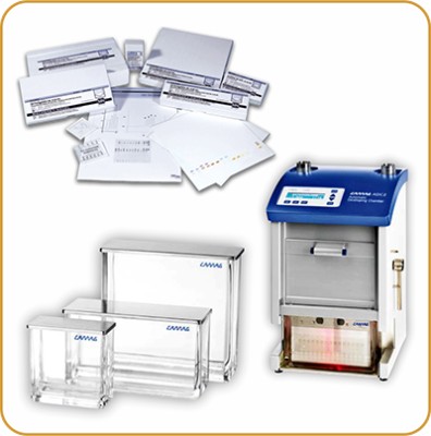 Cromatografía en Capa Fina